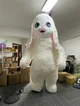 Inflatable Bunnysuit
