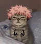 Ryomen Sukuna neko