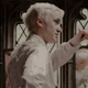 Draco Malfoy 