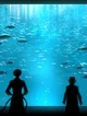Dazai Aquarium 