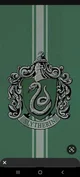 Slytherin boys
