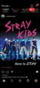 Stray kids