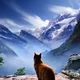 warrior cats rpg