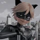 Cat noir 