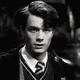 TOM RIDDLE