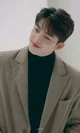 Scoups