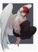 Angel Todoroki