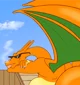 Ms zard