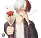 shoto todoroki