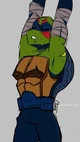 Rise Leo TMNT