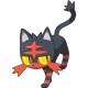 Litten