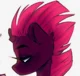 -Tempest Shadow-