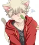 Cat bakugo
