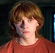 Ron Weasley 