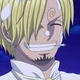 Partner Sanji