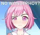 Wonderhoy girl