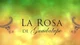 La Rosa de Guadalupe