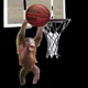 Basketball monkey