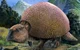 Glyptodon