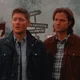 THE WINCHESTERS