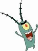 plankton
