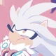 Silver The Hedgehog 