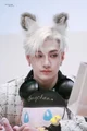 Bang Chan Wolf 