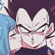 Vegeta and Bulma 