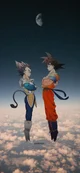 Goku and Vegeta