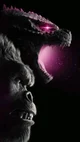 Godzilla e kong