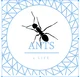 Ant life