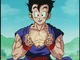 Son Gohan