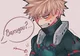 Bakugo Katsuki
