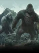 Megaprimatus Kong