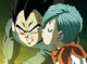 Vegeta and Bulma