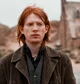 Bill Weasley 