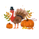 TheThanksgiving Hunt