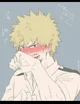 Bakugou pushy