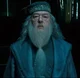 Professor Dumbledore