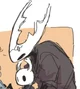 HK- Hollow Knight