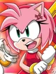 Amy Rose 