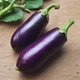 egg plant