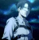 Levi ackermaN