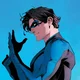 DC- Nightwing