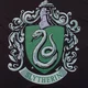 Slytherin Boys