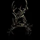 Antlers RPG