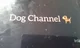 Dog Channel