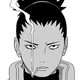 Shikamaru Nara