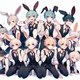 Bunny server