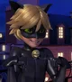 Chat Noir 